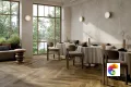 Коллекция Cortina Rondine