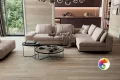 Коллекция 6611 Porcelanite Dos
