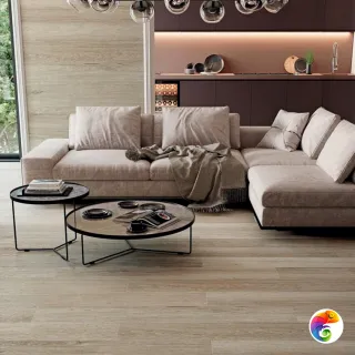6611 Porcelanite Dos