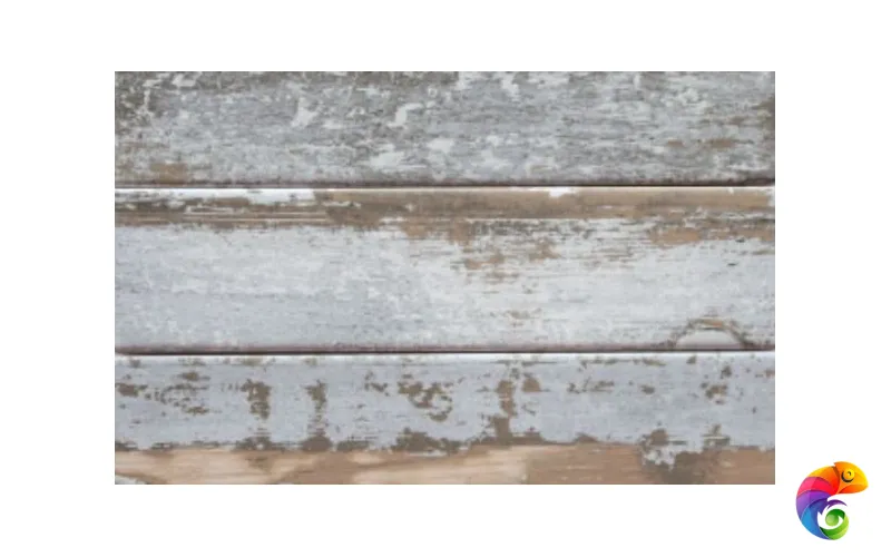 Коллекция Woodlands Cevica