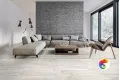 Коллекция Living Rondine