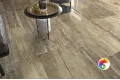 Коллекция KUBRIK Fanal