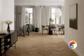 Коллекция Dream Rondine