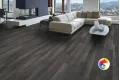 Коллекция GREENWOOD Rondine