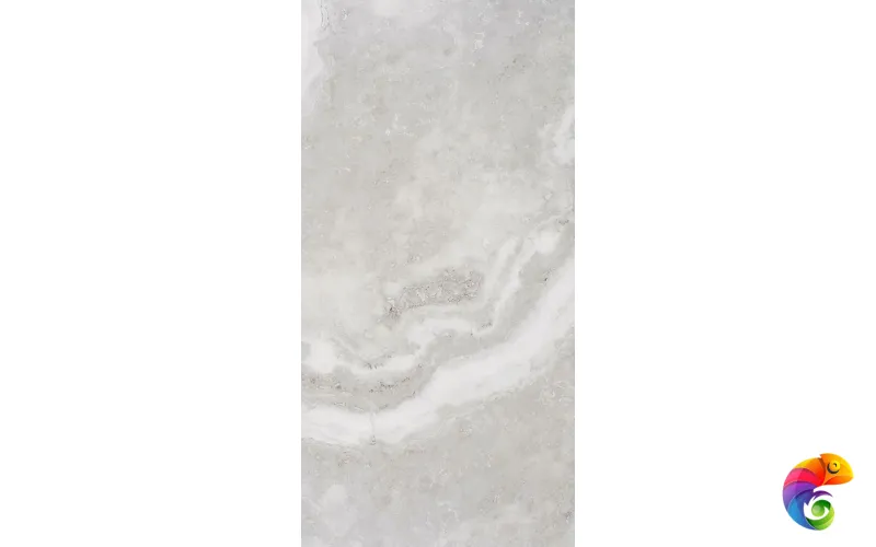 60x120 TR CARACALLA SILVER