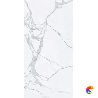 60X120 STATUARIO LUC/RET