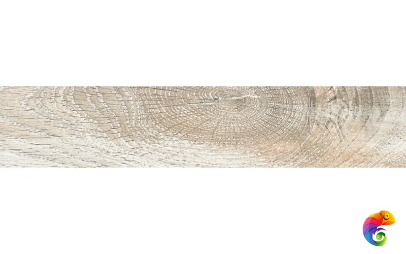 CRTN IVORY 24x120