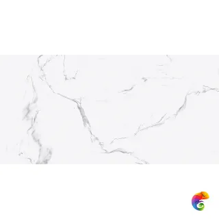 60x120 BRUNT WHITE GLOSSY