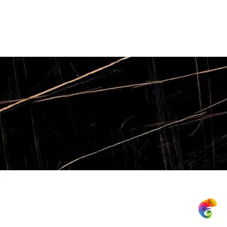 60*120 SAINT LAURENT GLAMOUR