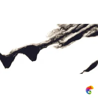 60x120 PANDA WHITE HIGH GLOSSY (х)