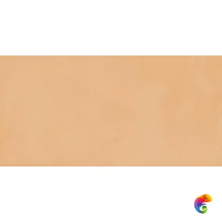 60X120 TOUCH EVO CORAL RETT