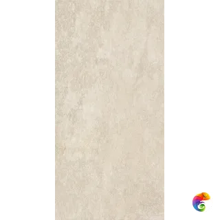 ABSOLUTE CLAY RET 60X120