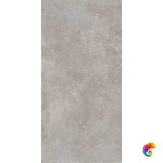 YS LIGHT GREY 60X120 RETT