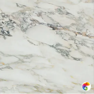 CAPRAIA BIANCO POL. RECT. 80X80