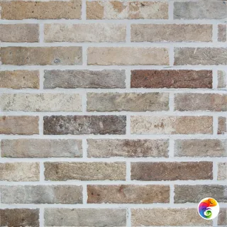 TRBC MULTICOLOR BRICK 6 x25