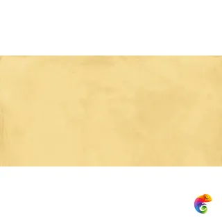60X120 TOUCH EVO GOLD RETT