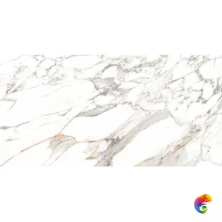 60x120 SCOT WHITE - B GLOSSY (х)