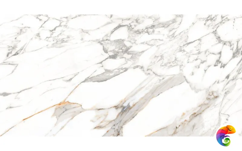 60x120 SCOT WHITE - B GLOSSY (х)