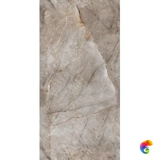 60*120 CANELO BROWN INFINIA POLISHED IT