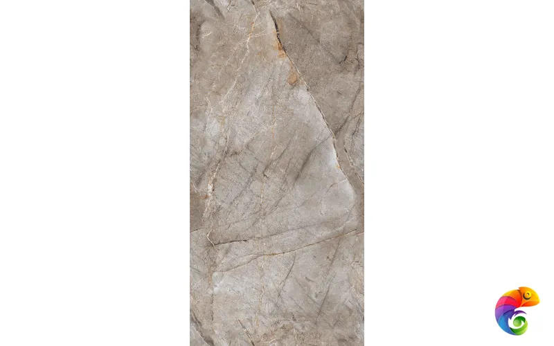 60*120 CANELO BROWN INFINIA POLISHED IT (х)