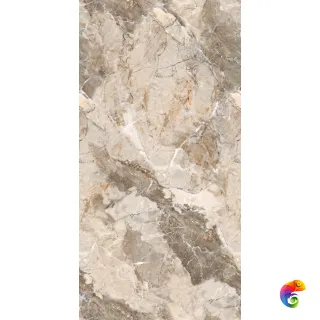 60*120 CASTANO BROWN GLOSSY ENDLESS R