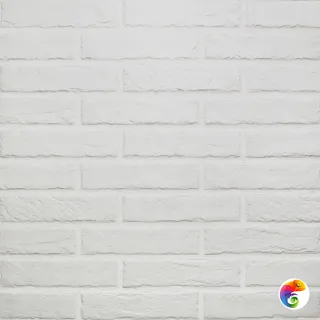 TRBC WHITE BRICK 6 x25