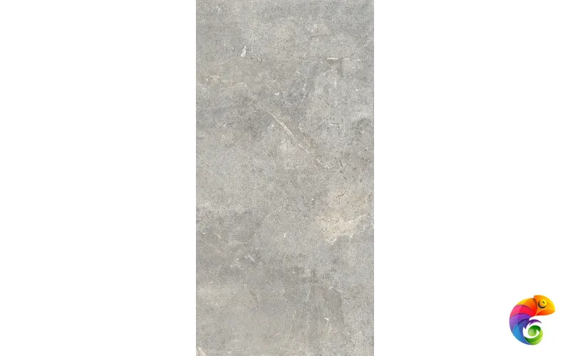 EVERGREIGE RET(T) 60X120