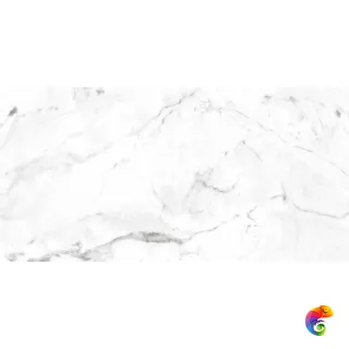 60x120 Marble Carrara Blanco Liso