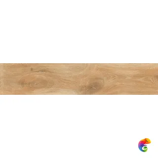 CRTN COGNAC 24x120