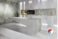 Коллекция Ariostea Ultra Onici