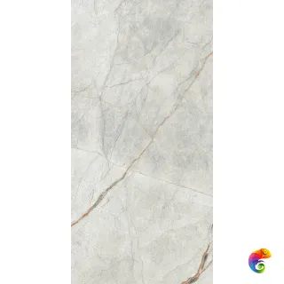 The Room GREY ROOTS GRE RO6 12RM (60x120)