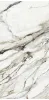Calacatta Paonazzo Satin Rect (60x120)