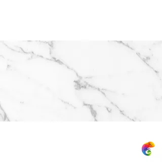 Aral White Polished Rect (60x120)