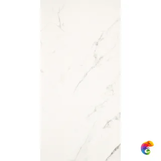 Statuario Grigio Honed 60x120