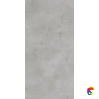 Ess. Bercy Grigio (60x120)