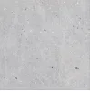 Meesel SILVER (66x66)