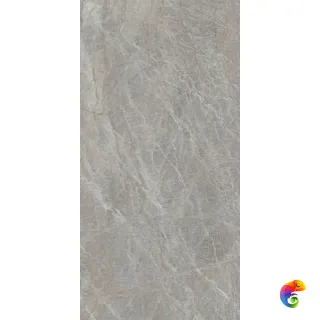 Oyster Grey Luc 60x120