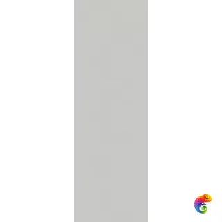 AUREA GRIS (40x120)