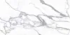 STATUARIO FANTASTICO 60*120*0,9