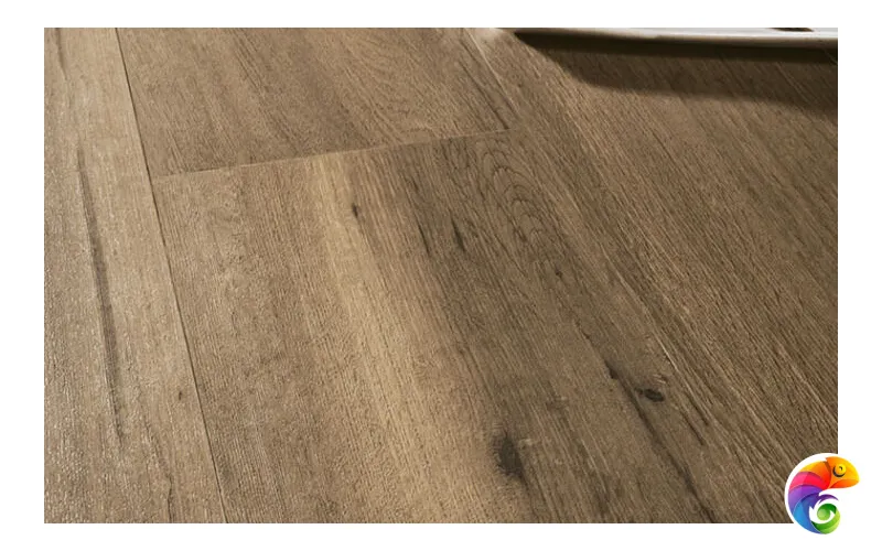 Коллекция FOREST La Platera