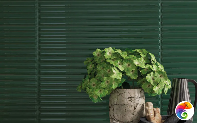 Коллекция PLINTO DNA