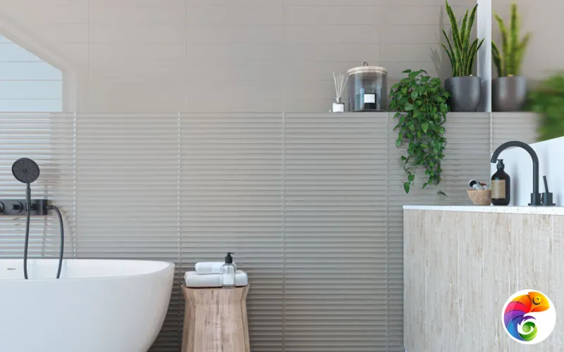 Коллекция PLINTO DNA