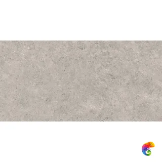 SEASHELL NATURAL R10 CARVING 60x120x0,9 (1,44м/2шт)