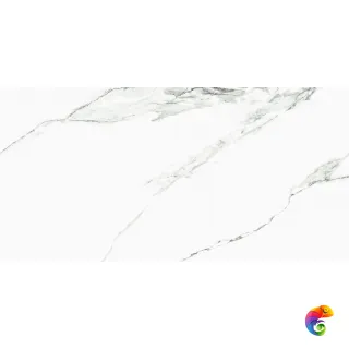 DENARIUS 60*120 (КГ) 1,44м(2шт)/43,2м