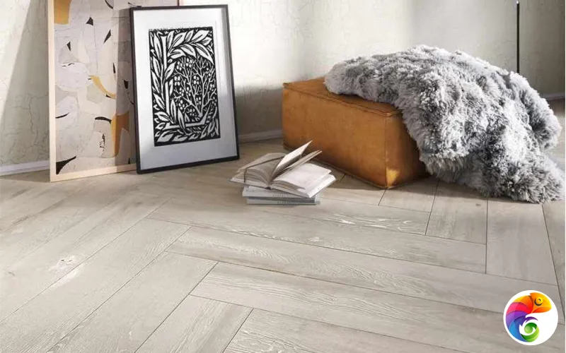 Коллекция CANUS Gravita