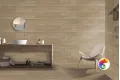 Коллекция DAKOTA Gravita