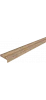 Дуб Европейский