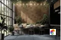 Коллекция Mgm Element