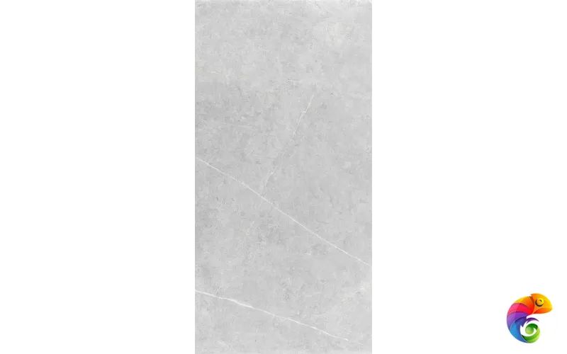 NORTHON LIGHT GREY MT 60X120 CAN5NORODDKA