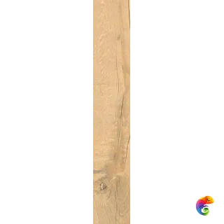 LE DOGHE OLMO 20X120 12DOG004